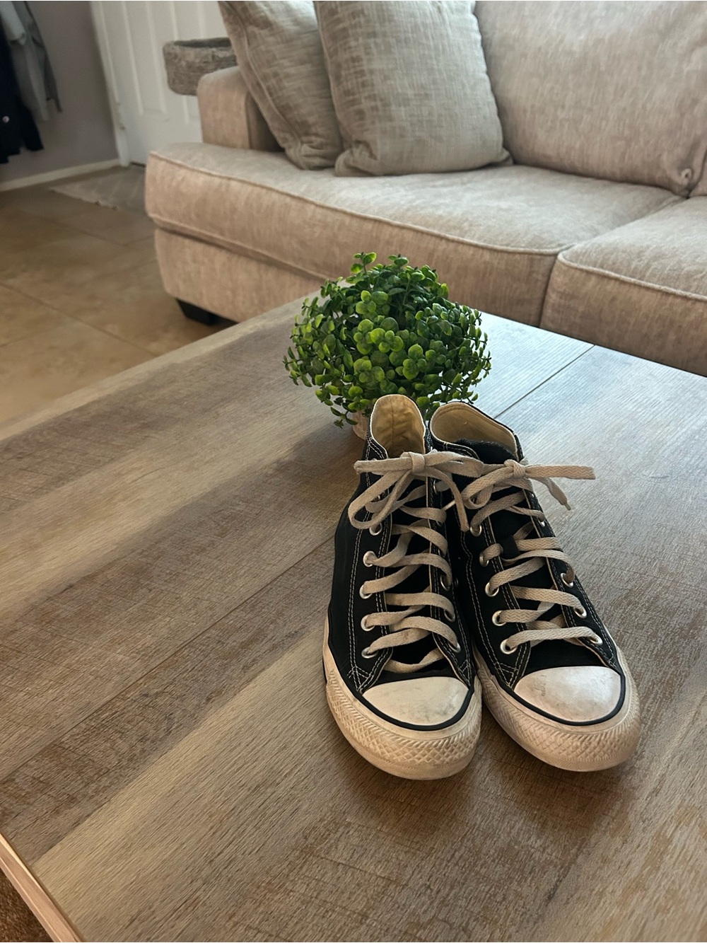 Converse Black High Top Canvas Sneakers with White Accents - Picture 5 of 5